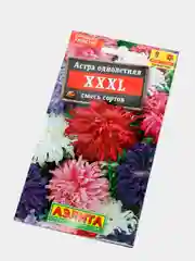 Семена Астра "XXXL" смесь сортов