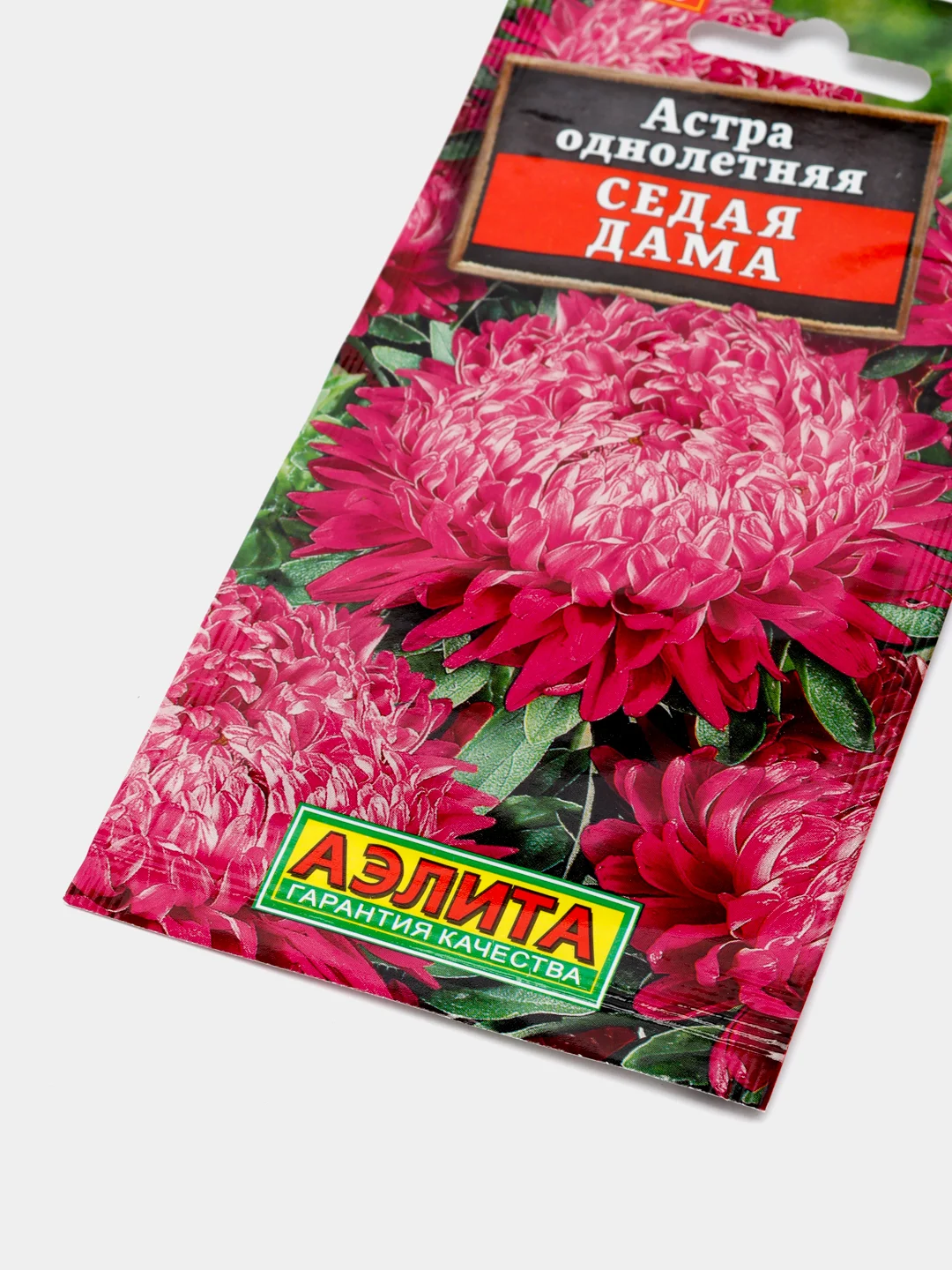 Семена Астра "Седая дама"