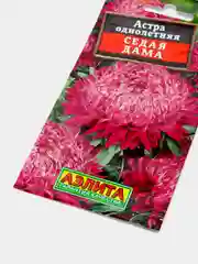 Семена Астра "Седая дама"