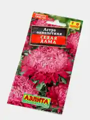 Семена Астра "Седая дама"
