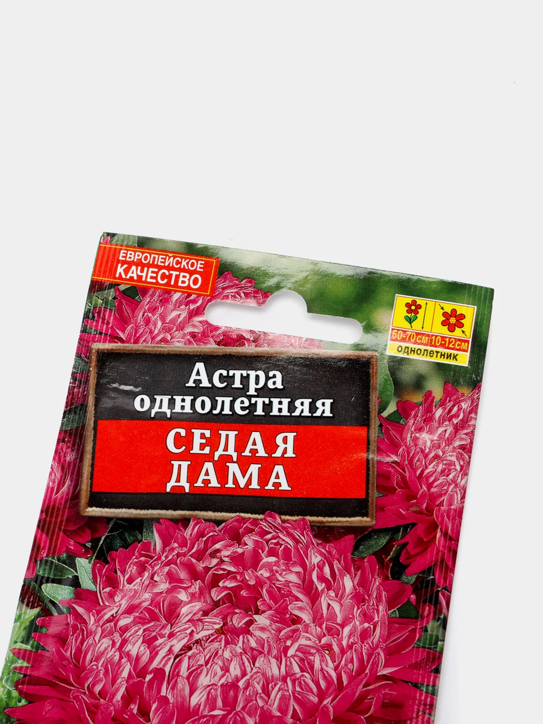 Семена Астра "Седая дама"