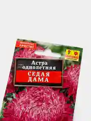 Семена Астра "Седая дама"