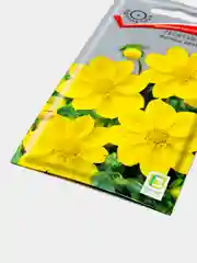 Семена Георгина "Мигнон жёлтая"