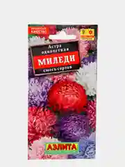 Семена Астра "Миледи" смесь окрасок