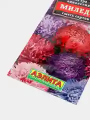 Семена Астра "Миледи" смесь окрасок