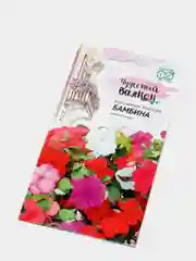 Семена Бальзамин Уоллера "Бамбина" смесь