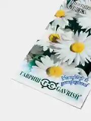 Семена Нивяник "Аляска"