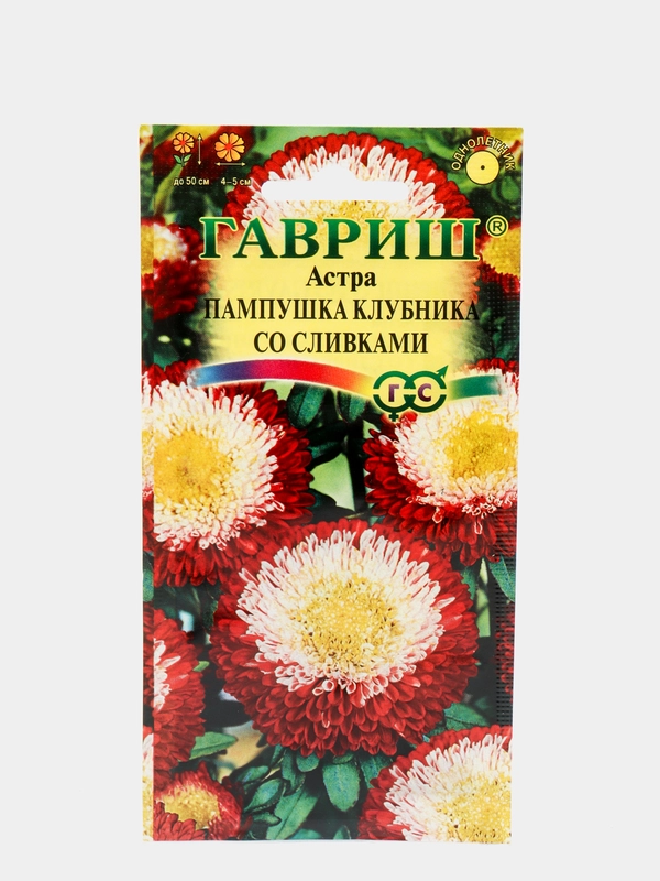 Семена Астра "Пампушка клубника со сливками"