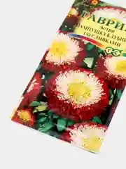 Семена Астра "Пампушка клубника со сливками"