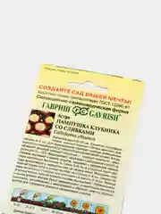 Семена Астра "Пампушка клубника со сливками"