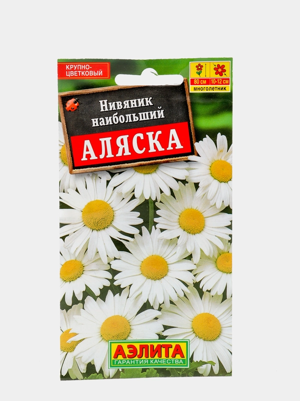 Семена Нивяник наибольший "Аляска"