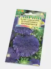 Семена Астра однолетняя "Пампушка черничная"