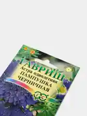 Семена Астра однолетняя "Пампушка черничная"