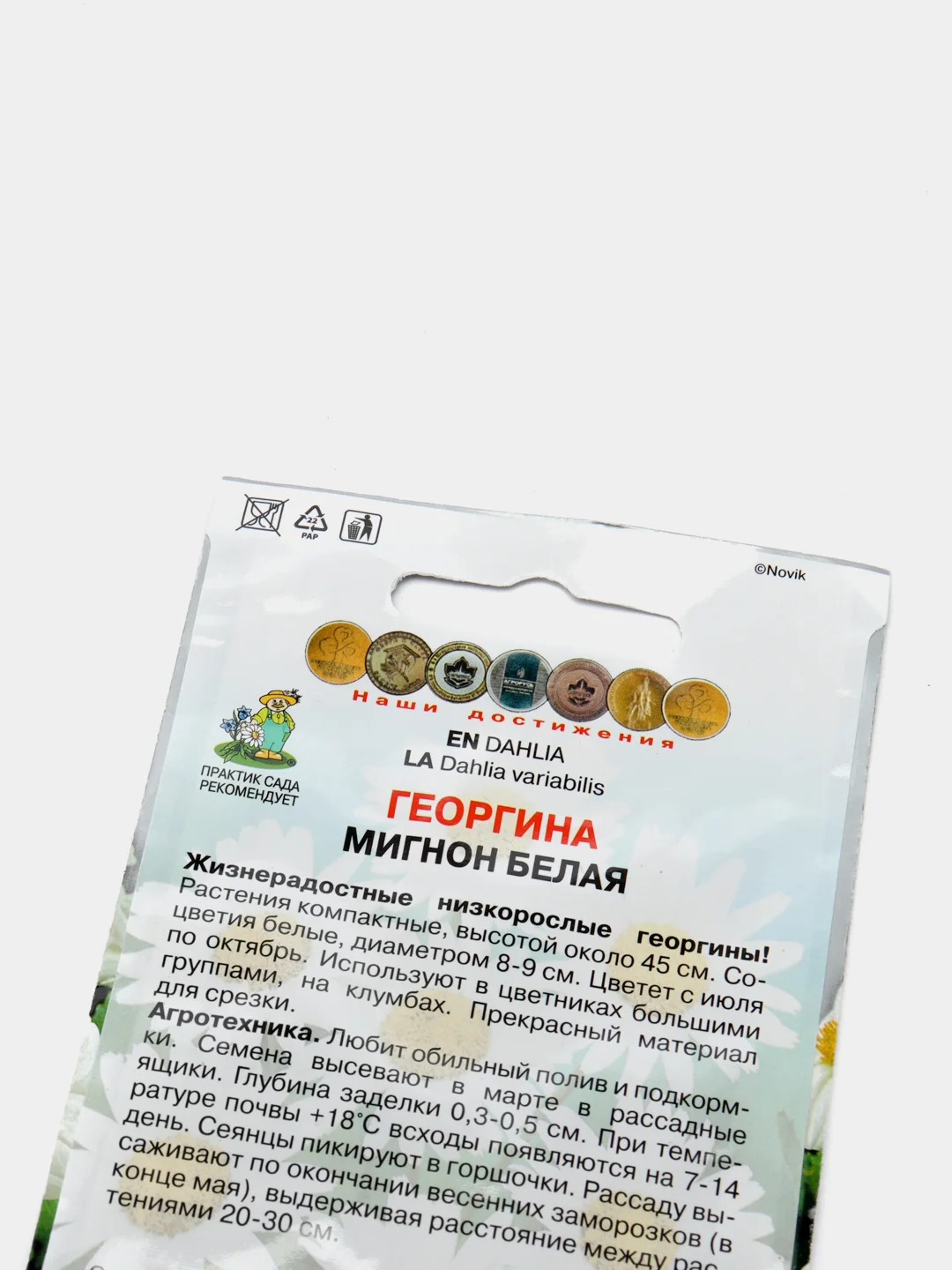 Семена Георгина "Мигнон белая"