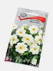 Семена Георгина "Мигнон белая"