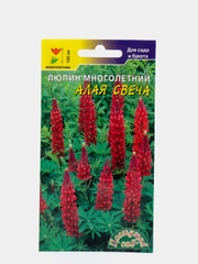 Семена Люпин (набор 2 уп) "Алая свеча"