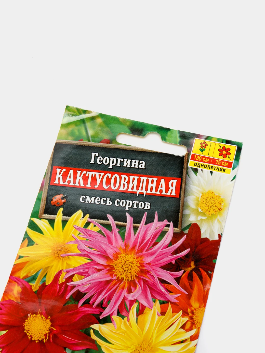 Семена Георгина "Кактусовидная" смесь сортов