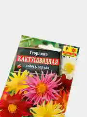 Семена Георгина "Кактусовидная" смесь сортов