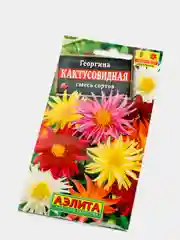 Семена Георгина "Кактусовидная" смесь сортов