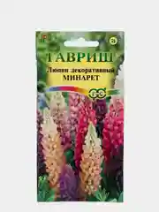 Семена Люпин Минарет