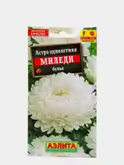 Семена Астра "Миледи" белая