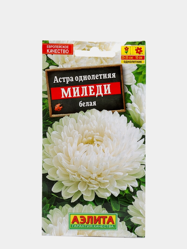 Семена Астра "Миледи" белая