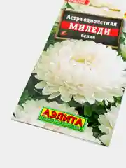 Семена Астра "Миледи" белая