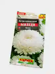 Семена Астра "Миледи" белая