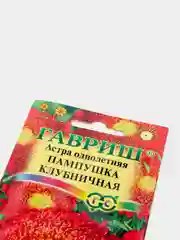 Семена Астра "Пампушка клубничная"