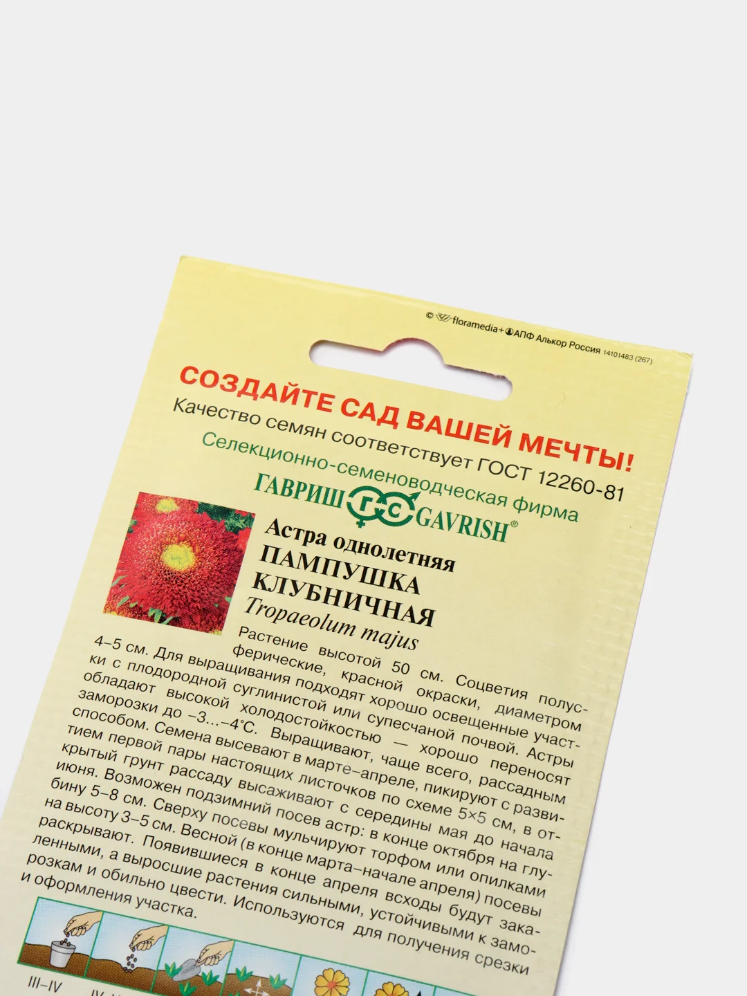 Семена Астра "Пампушка клубничная"