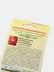 Семена Астра "Пампушка клубничная"