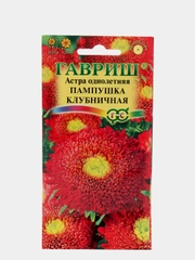 Семена Астра "Пампушка клубничная"