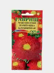 Семена Астра "Пампушка клубничная"