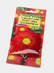 Семена Астра "Пампушка клубничная"