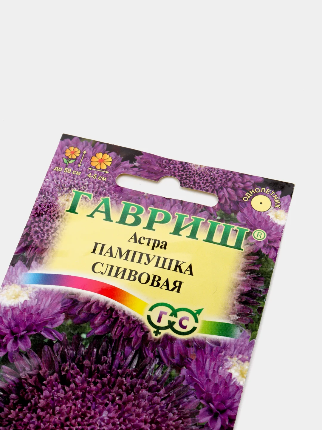 Семена Астра "Пампушка сливовая"