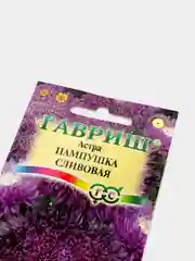 Семена Астра "Пампушка сливовая"