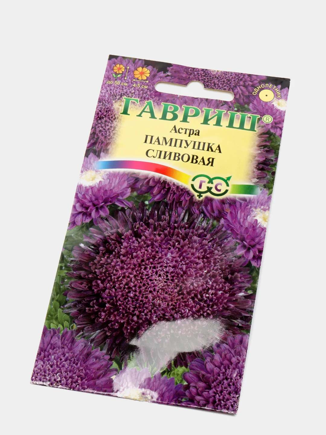 Семена Астра "Пампушка сливовая"