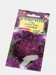 Семена Астра "Пампушка сливовая"
