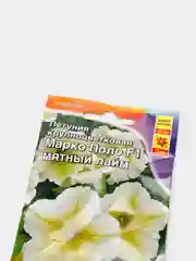 Семена Петуния "Марко Поло F1" мятный лайм