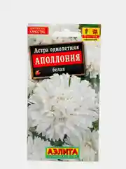 Семена Астра "Аполлония" белая