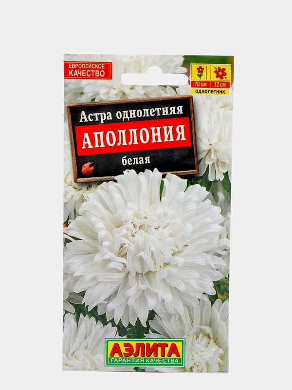 Семена Астра "Аполлония" белая
