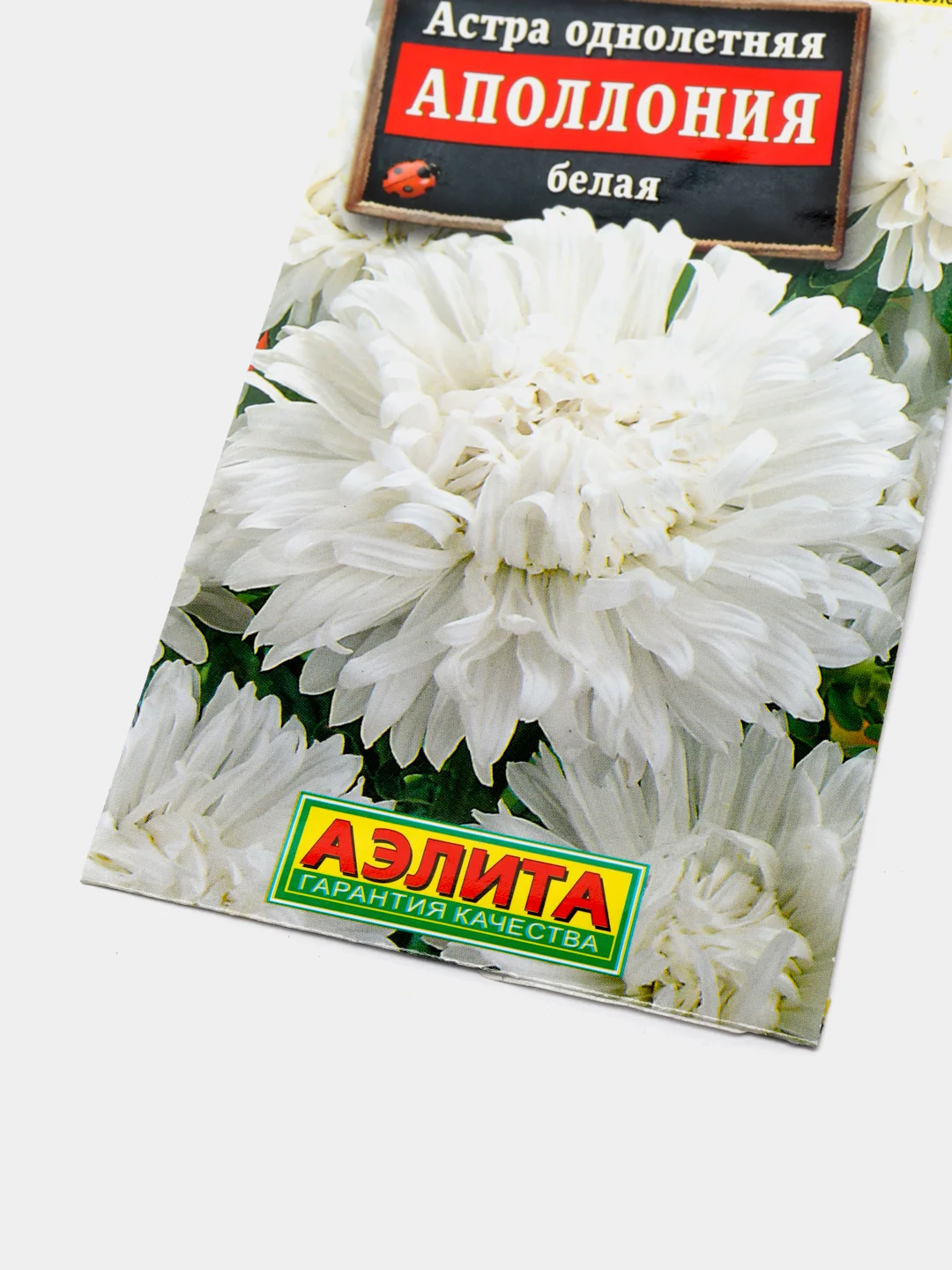 Семена Астра "Аполлония" белая