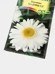 Семена Нивяник "Майфилд"