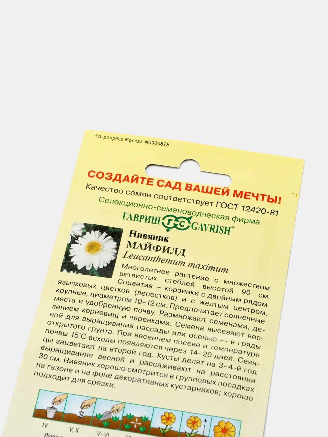 Семена Нивяник "Майфилд"