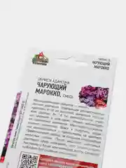 Семена набор 2 уп Обриета Адансона Чарующий Марокко