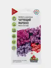 Семена набор 2 уп Обриета Адансона Чарующий Марокко