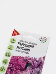 Семена набор 2 уп Обриета Адансона Чарующий Марокко