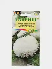 Семена Астра "Антарктида"