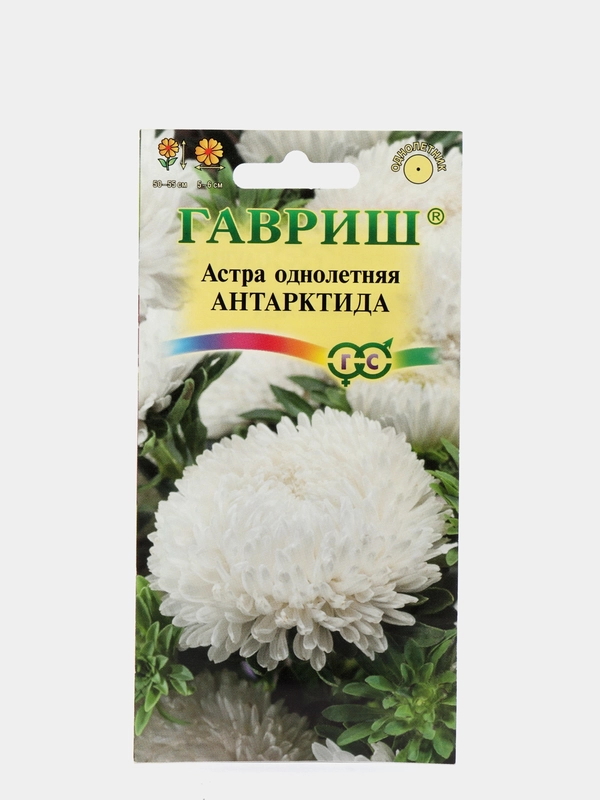 Семена Астра "Антарктида"