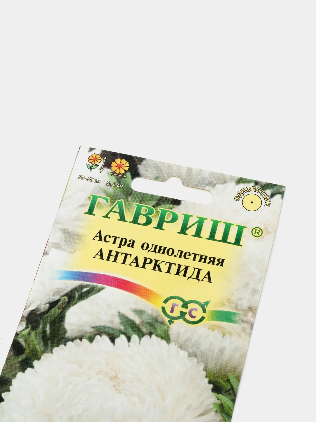 Семена Астра "Антарктида"